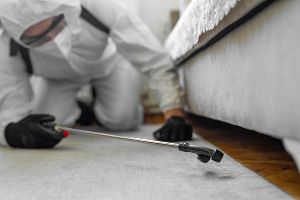 Professional Bed Bug Control technician working in Creston, OH