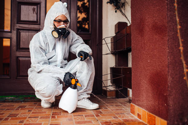 Reliable Bed Bug Control contractor in Creston, OH by Nex Pest Control